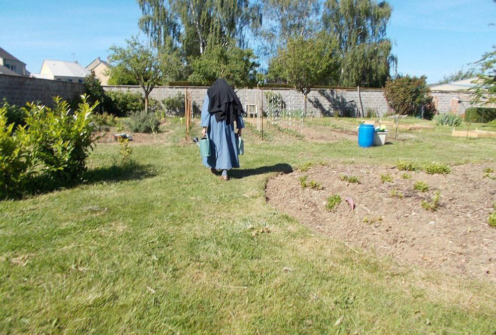 Permaculture à Grentheville