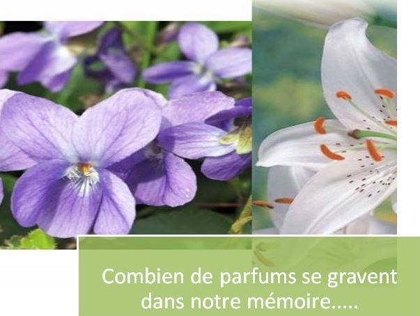 FAJ – Newsletter octobre 2020