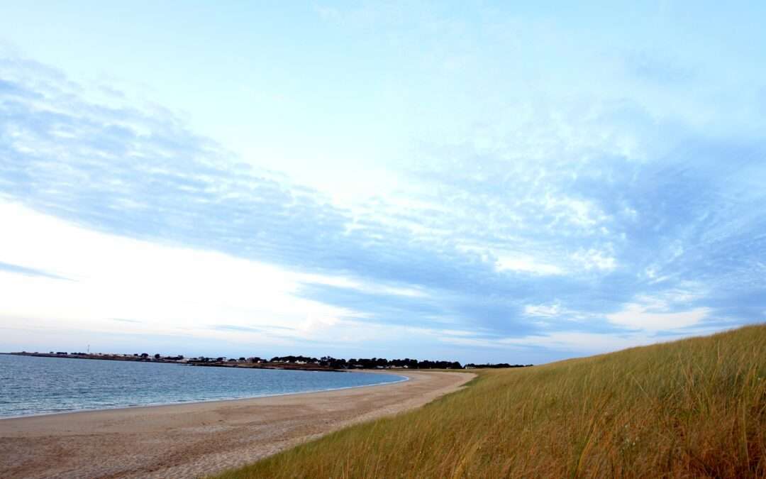 Un texte pour le temps pascal