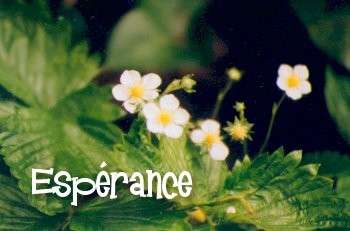 Retraite annuelle 2026 à Grentheville